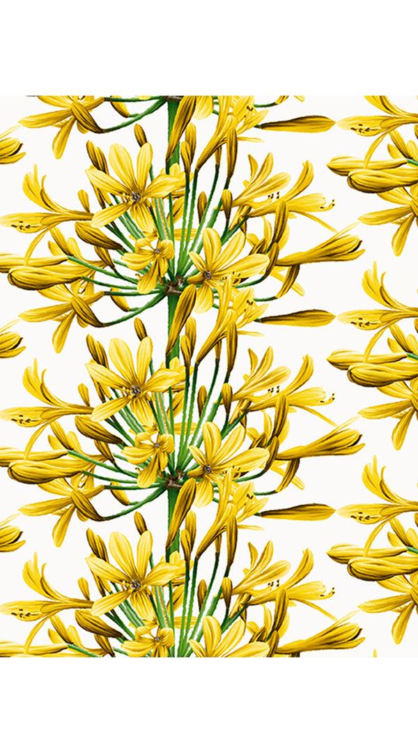 Samantha Sung Aster Dress Shirt Collar 3/4 Sleeve Midi Length Cotton Musola (Tinker Bell Flower)