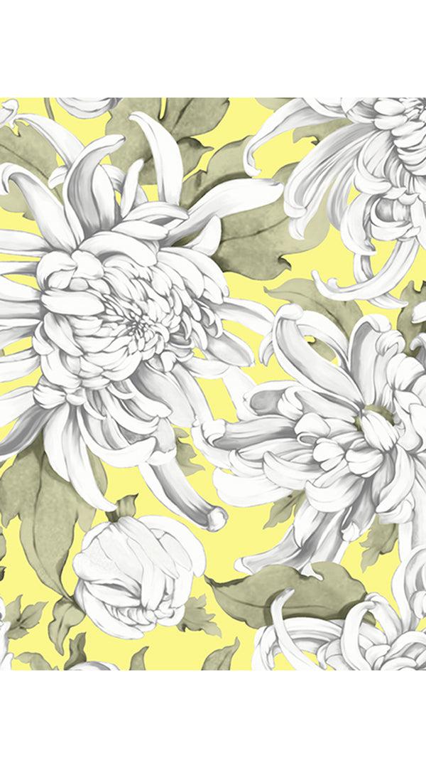 Samantha Sung Aster Dress Shirt Collar 3/4 Sleeve Midi Length Cotton Musola (Chrysanthemum Flower Big)