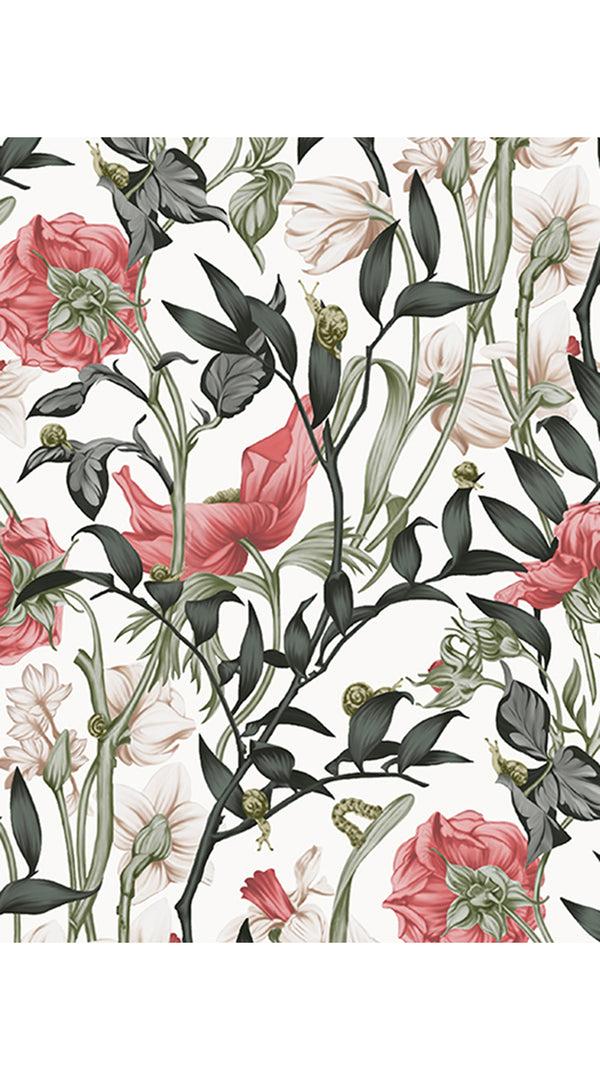 Samantha Sung Aster Dress Shirt Collar 3/4 Sleeve Midi Length Cotton Musola (Meadow Flower White)