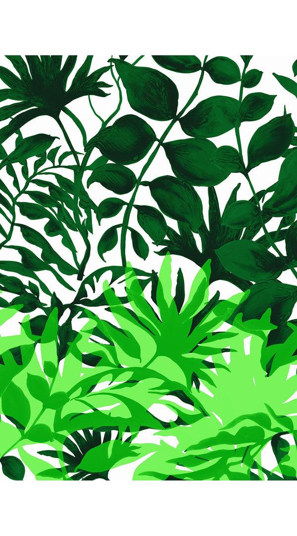 Samantha Sung Aster Dress Shirt Collar 3/4 Sleeve Midi Plus Length Cotton Musola (Picasso Mono Flower White Multi)