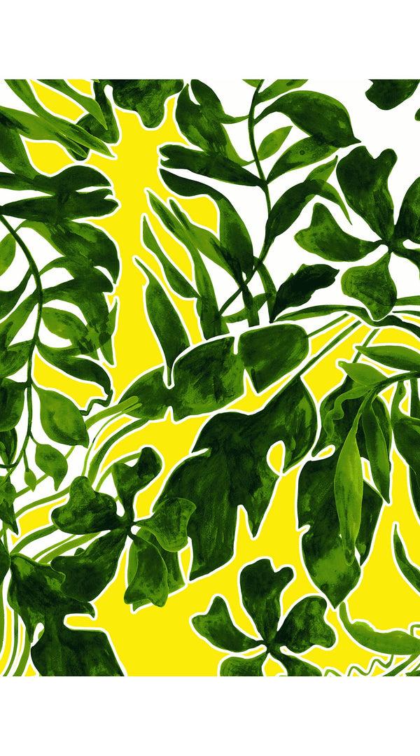 Samantha Sung Aster Dress Shirt Collar 3/4 Sleeve Midi Plus Length Cotton Musola (Como Lake Garden White)