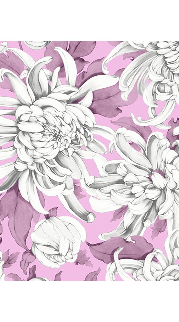 Samantha Sung Aster Dress Shirt Collar 3/4 Sleeve Midi Plus Length Cotton Musola (Chrysanthemum Flower Big)