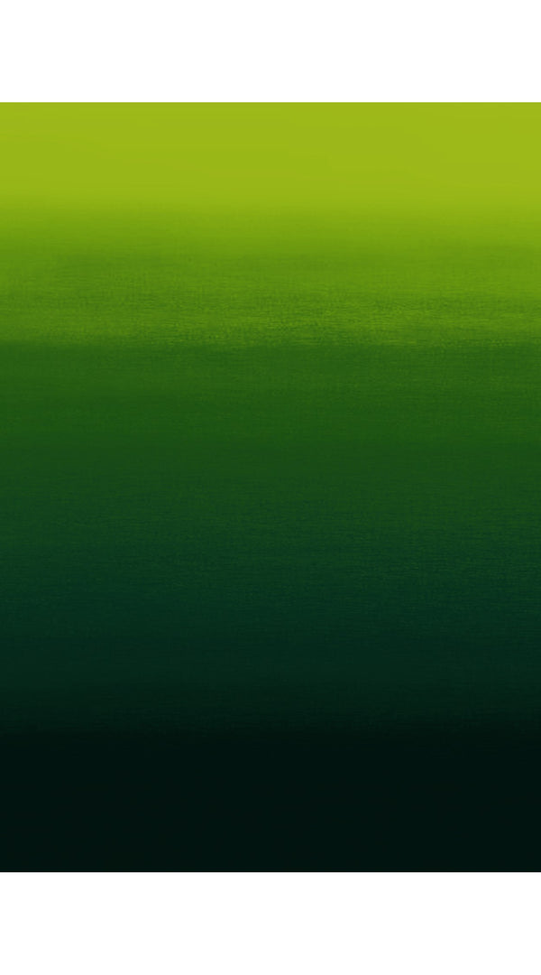 Samantha Sung Audrey Dress #1 Shirt Collar 3/4 Sleeve Long Length Cotton Stretch (Ombre Multi)