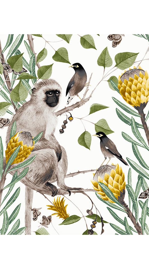 Samantha Sung Audrey Dress #1 Shirt Collar 3/4 Sleeve Regular Length Cotton Stretch (Eastern Monkey White)