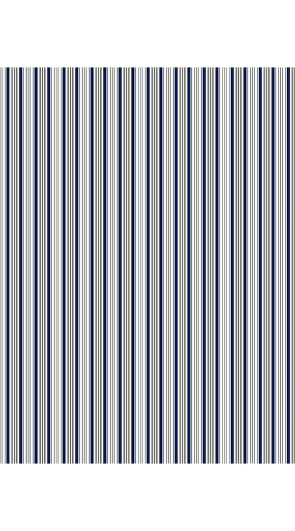 Samantha Sung Audrey Dress #2 Shirt Collar 3/4 Sleeve Long Length Cotton Stretch (Napoli Stripe Bright)