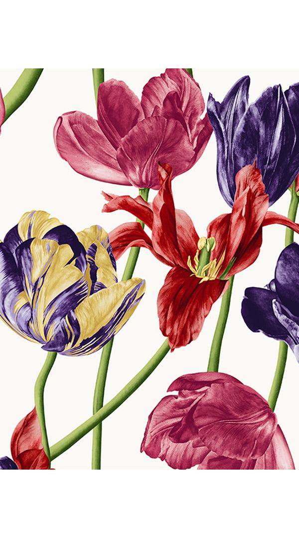 Samantha Sung Audrey Dress #2 Shirt Collar 3/4 Sleeve Long Length Cotton Stretch (Rambrandt Tulip)