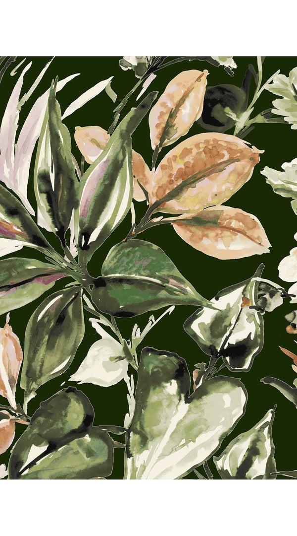 Samantha Sung Audrey Dress #2 Shirt Collar 3/4 Sleeve Midi Length Poplin Stretch (Mozambique Flower Multi)