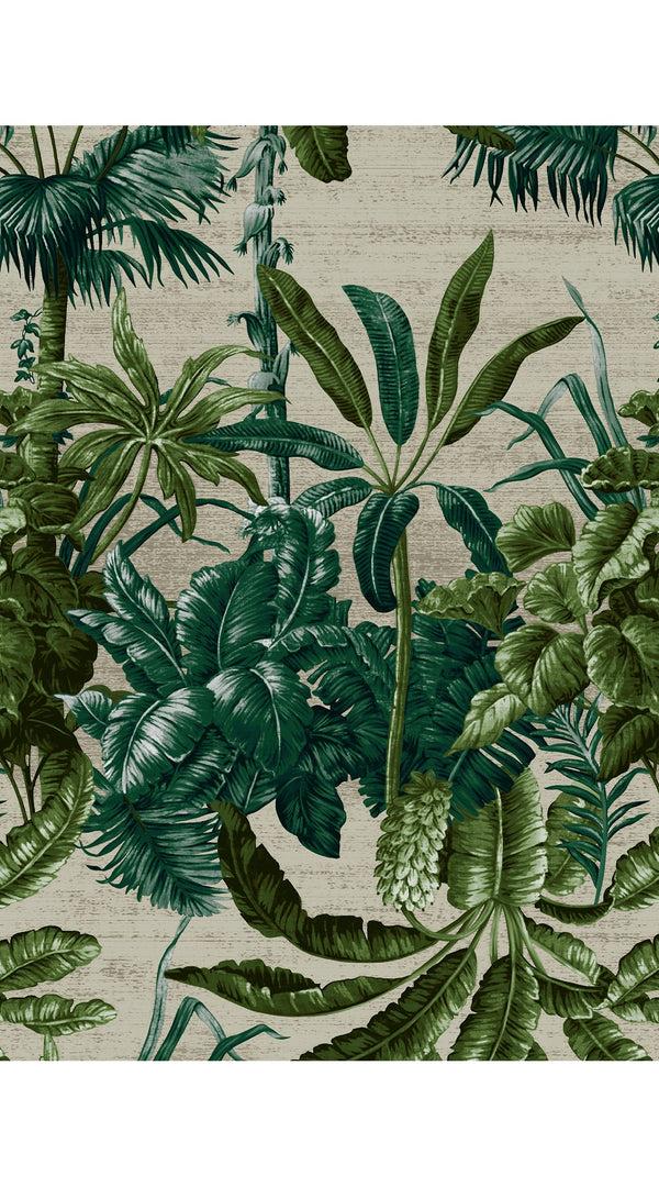 Samantha Sung Audrey Dress #2 Shirt Collar 3/4 Sleeve Midi Length Cotton Stretch (Vintage Palm Beige)