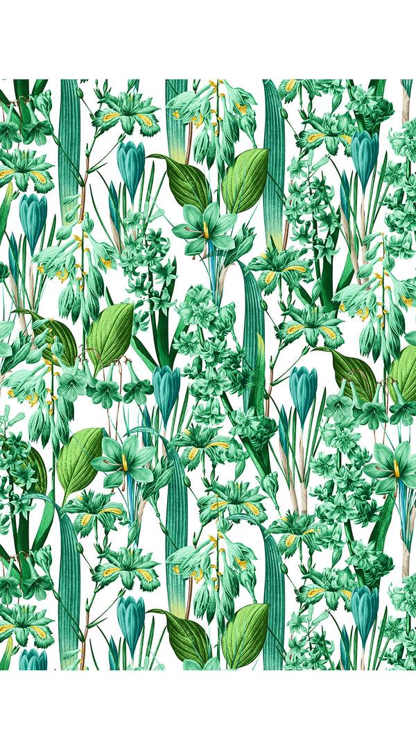 Samantha Sung Audrey Dress #4 Shirt Collar 3/4 Sleeve Midi Length Cotton Musola (Crocus Hyacinth White)