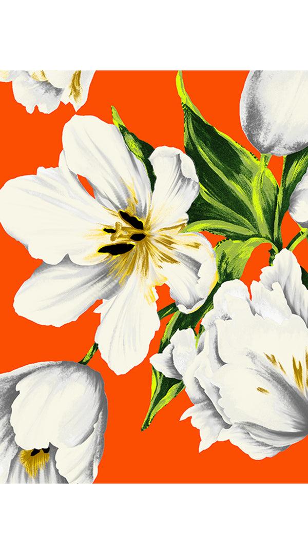 Samantha Sung Audrey Dress #4 Shirt Collar 3/4 Sleeve Midi Length Cotton Stretch (Emperor Tulip Bright)