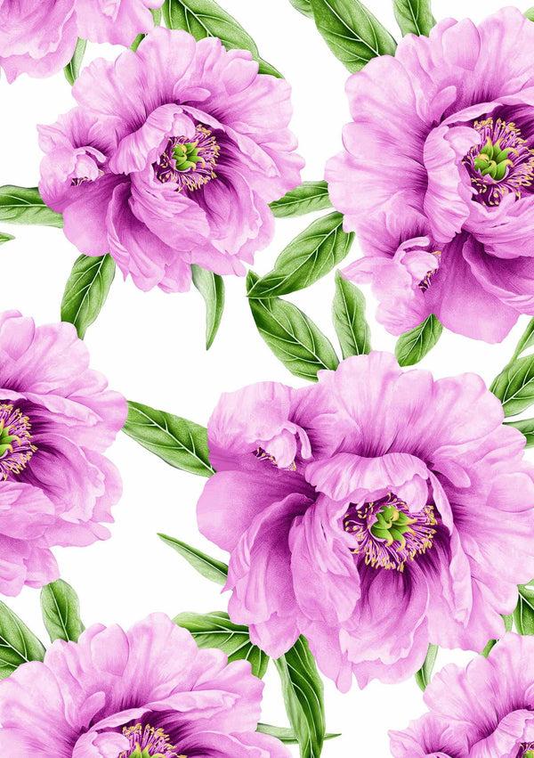 Samantha Sung [Create Your Own] Cotton Stretch (Pastel Magnolia White)