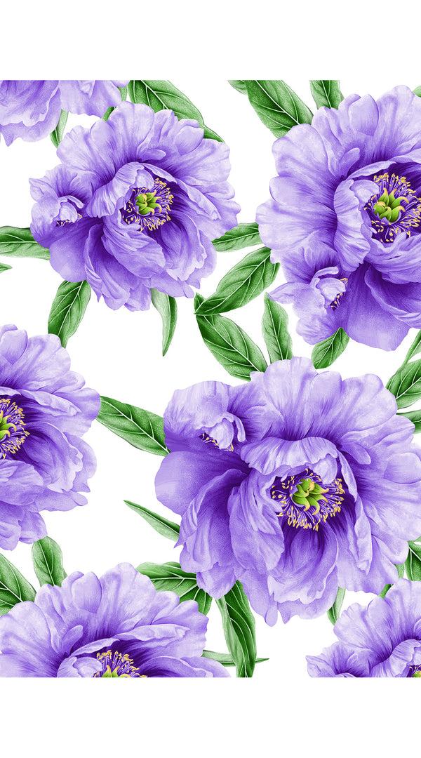 Samantha Sung Eva Dress Crew Neck 3/4 Sleeve Midi Length Cotton Musola (Pastel Magnolia White)