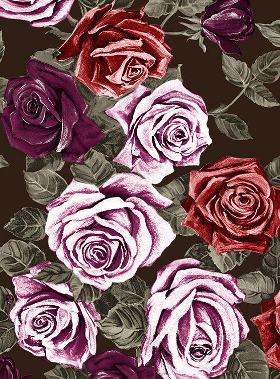 samantha sung Patricia Dress Shirt Collar 3/4 Sleeve Long +3 Length Wool (Charlotte Rose Big Dark)