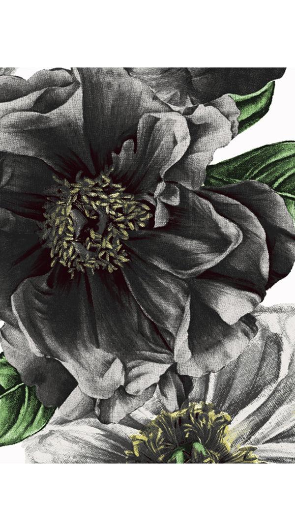 Samantha Sung Sabrina Shirt Shirt Collar 3/4 Sleeve Cotton Stretch (Giant Poppy White)