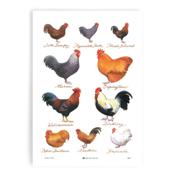 Samuel Lamont & Sons Chicken Breeds Tea Towel