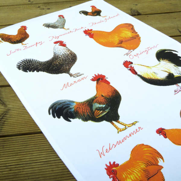 Samuel Lamont & Sons Chicken Breeds Tea Towel