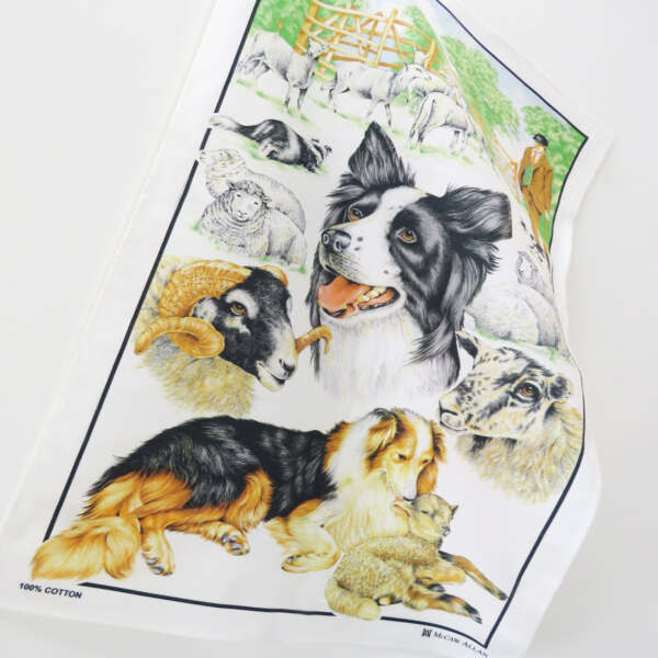Samuel Lamont & Sons Collie Sheep Dog Tea Towel