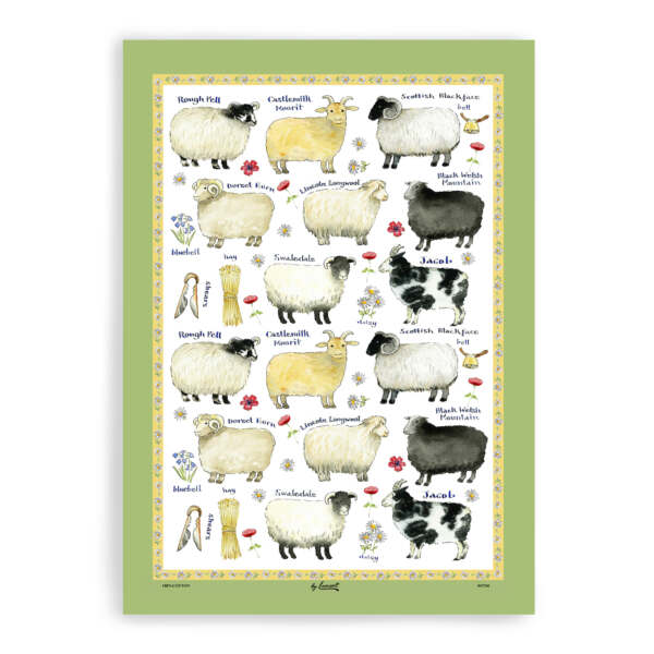 samuel lamont & sons Sheep Breeds Cotton Tea Towel