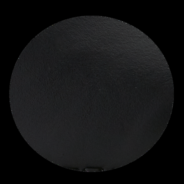 Sanita Chester Women's Clog In Black