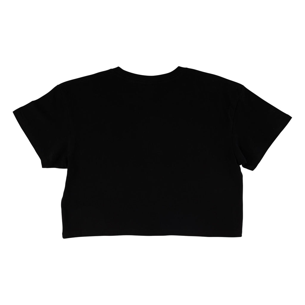 Santa Cruz Skateboards Flame Strip Womens Santa Cruz Crop T-Shirt