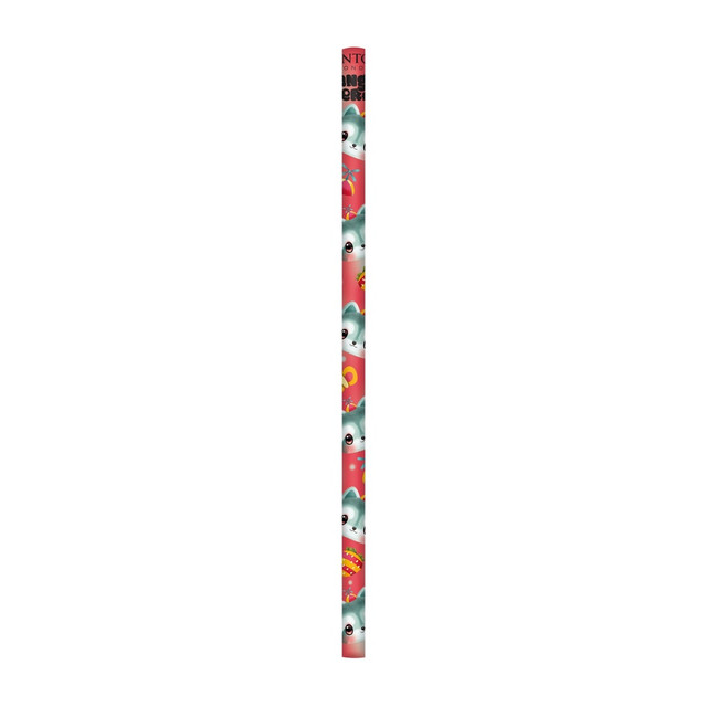 Santoro London Bangoberry - Set Of 5 Pencils - Remy Raccoon