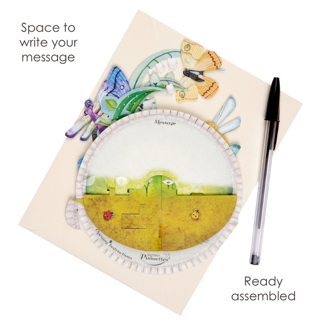 Santoro London Pirouettes - Butterfly And Dragonfly