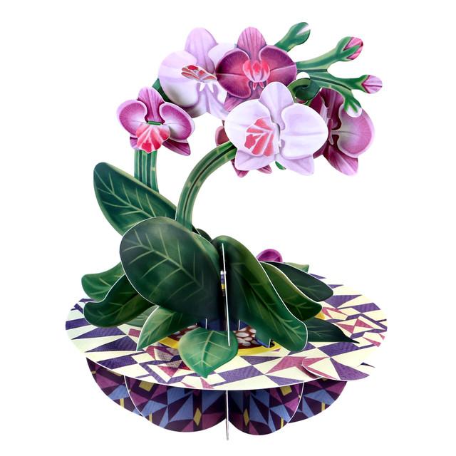 Santoro London Pirouettes Card - Orchid