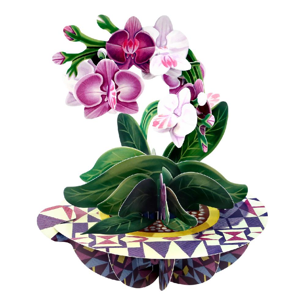 santoro london Pirouettes Card - Orchid