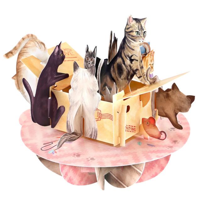 Santoro London Pirouettes - Purrrfect Parcel
