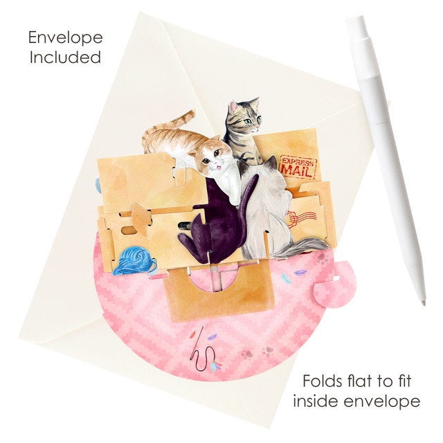 Santoro London Pirouettes - Purrrfect Parcel