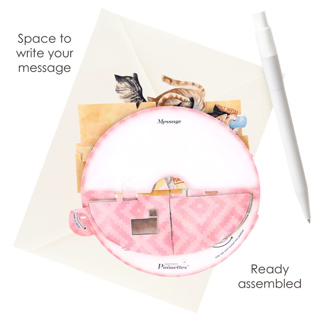 Santoro London Pirouettes - Purrrfect Parcel