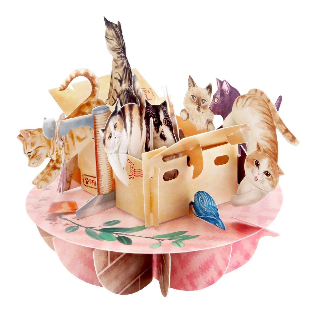 santoro london Pirouettes - Purrrfect Parcel