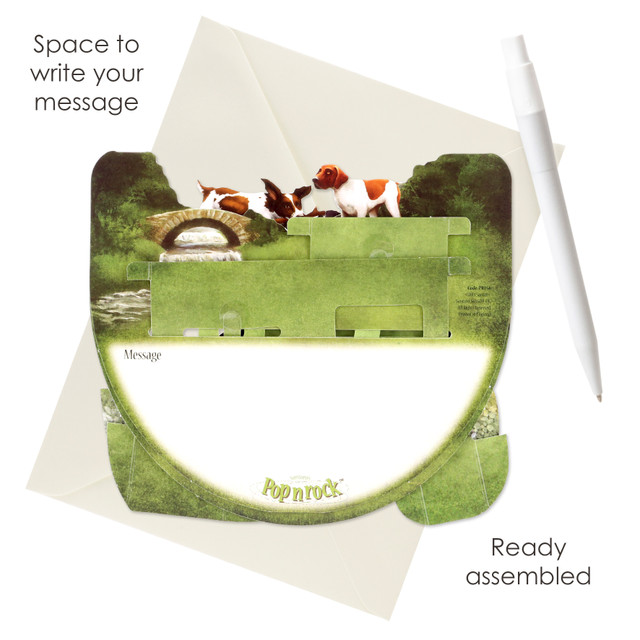 Santoro London Popnrock - Dog Breeds