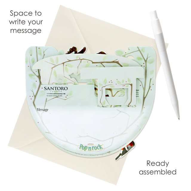Santoro London Popnrock - Garden Birds