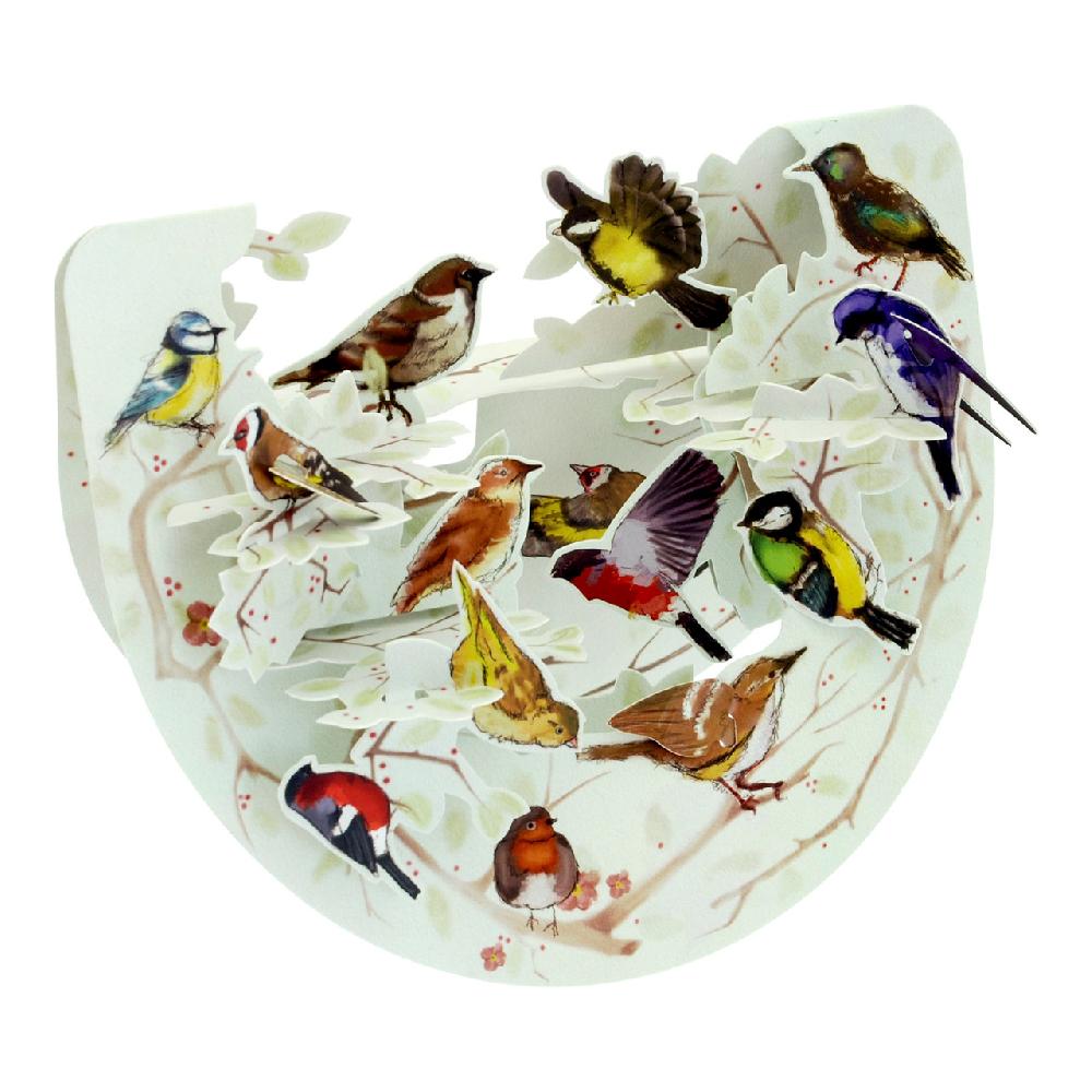 santoro london Popnrock - Garden Birds