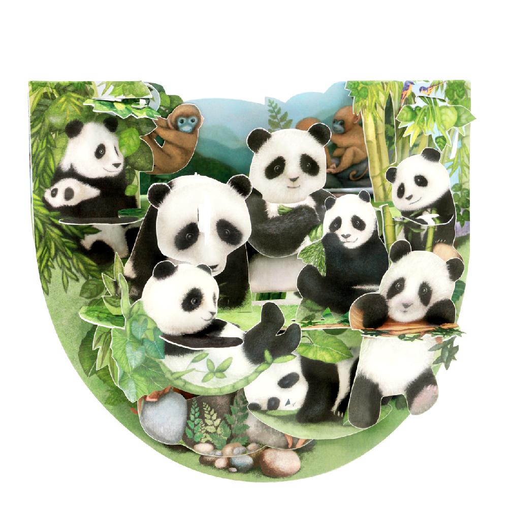 santoro london Popnrock - Pandas