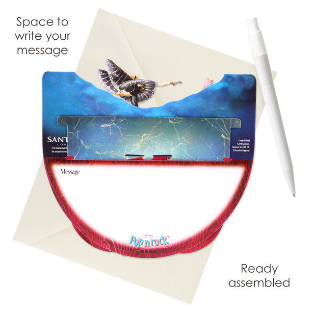 Santoro London Popnrock - Swan Lake Ballet