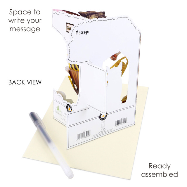 Santoro London Swing Cards - Cats In A Hammock