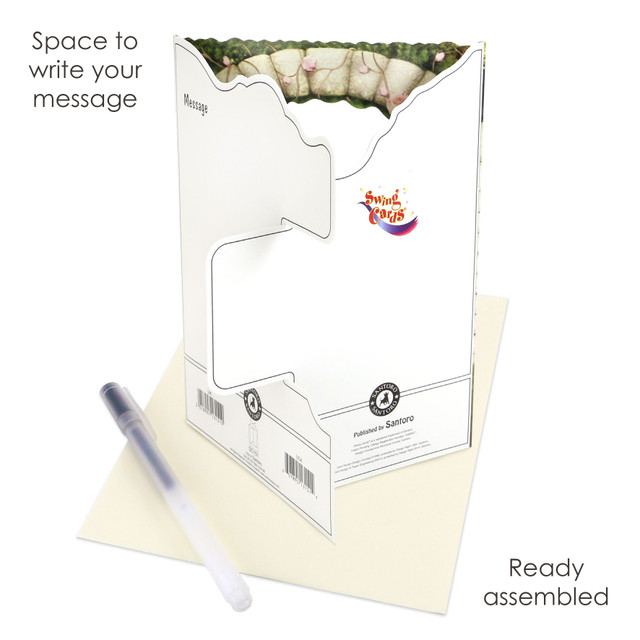 Santoro London Swing Cards - Princess On A Swing