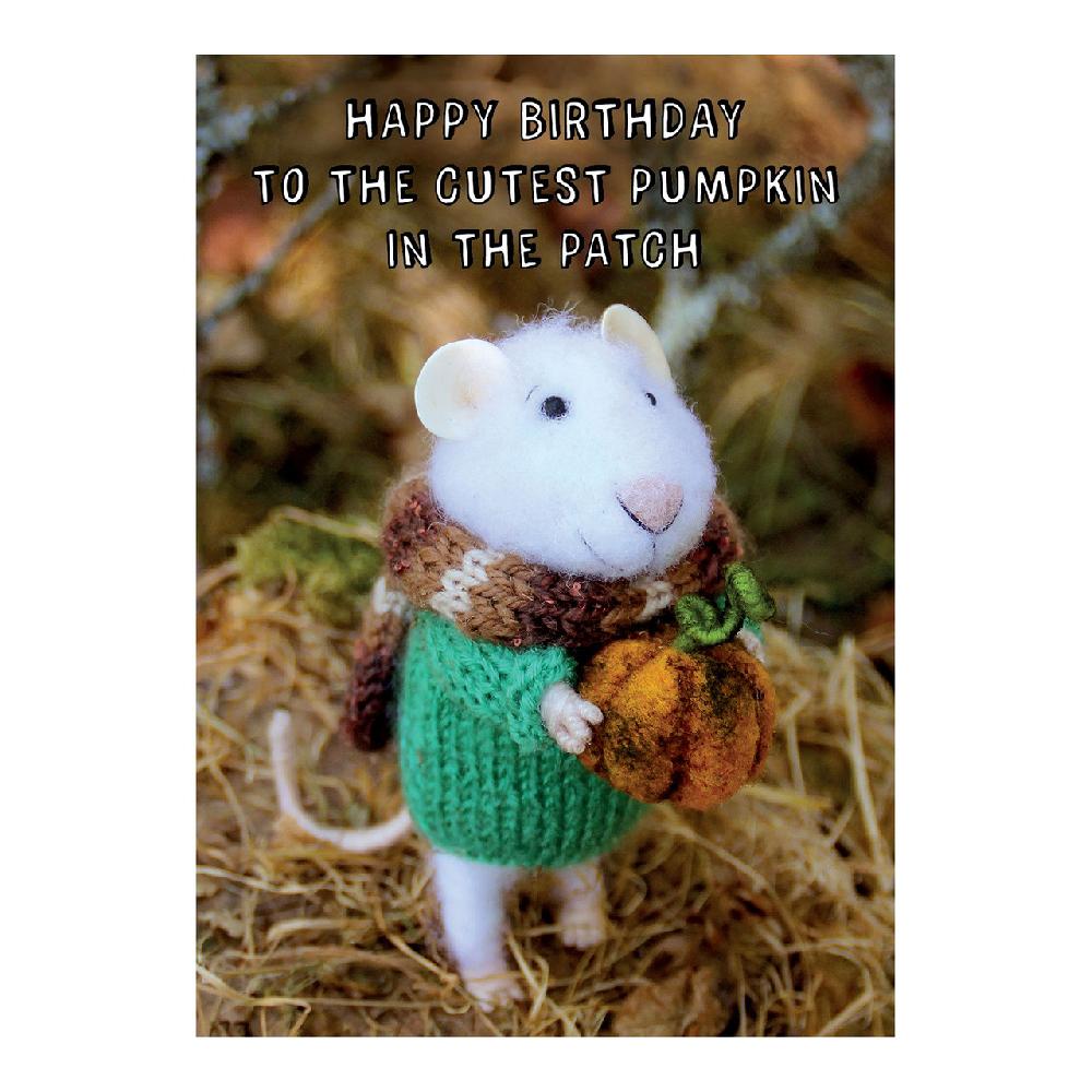 santoro london Tiny Squee Mousies - Happy Birthday - To The Cutest Pumpkin