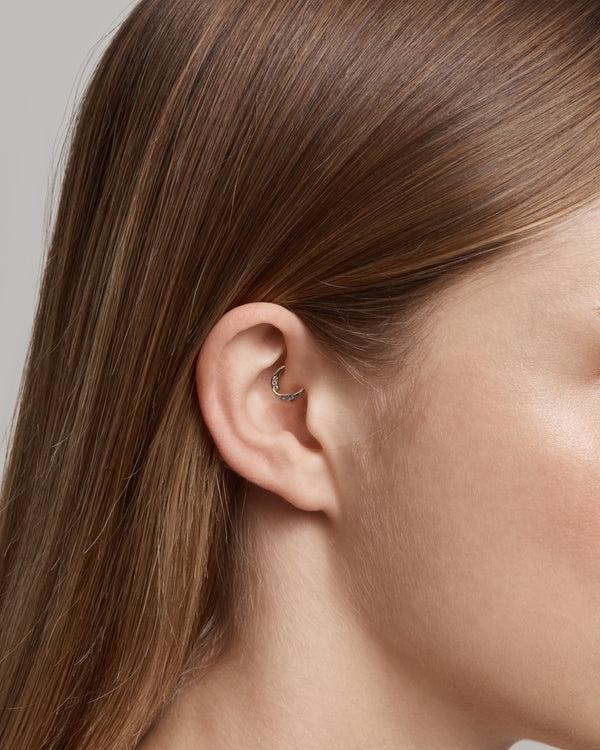 Sarah & Sebastian Ecklonia Daith Hoop