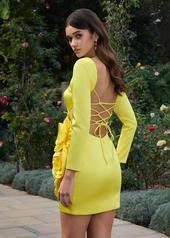 sarahbridal ASHLEYlauren 4805