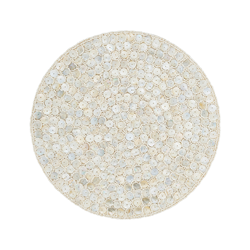 saro lifestyle 1180 Mother Of Pearl Design Placemat