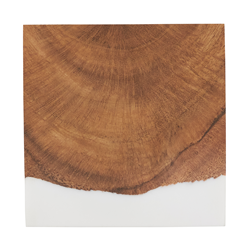 Saro Lifestyle CO538 Wood And Resin Coasters - Set Of 4