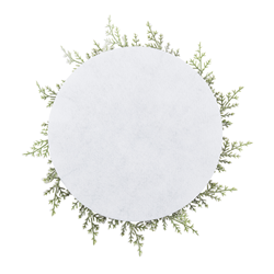 Saro Lifestyle 1142 Flocked Pine Needle Placemat