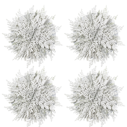 Saro Lifestyle 1142 Flocked Pine Needle Placemat