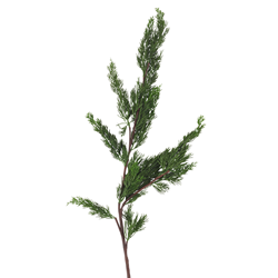 saro lifestyle BR108 Cedar Branch