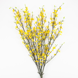 Saro Lifestyle BR601 Forsythia Branch