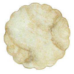 Saro Lifestyle CO170 Scalloped Capiz Coaster