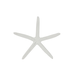 Saro Lifestyle HA162 Resin Starfish